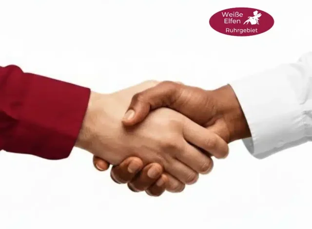 Vertrauensvoller Handschlag als Zeichen professioneller Partnerschaft